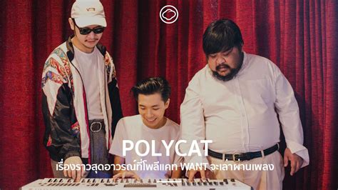 polycat 5.